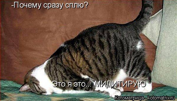 -Почему сразу сплю? Это я это... МИДИТИРУЮ... Котоматрица: -Почему сразу сплю? Это я это... МИДИТИРУЮ