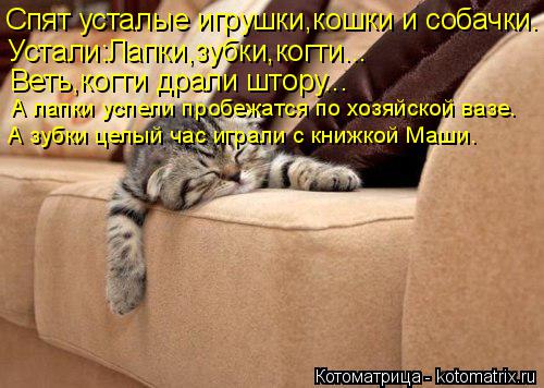 Спят усталые игрушки,кошки и собачки. Устали:Лапки,зубки,когти... Веть,когти драли штору... А лапки у... Котоматрица: Спят усталые игрушки,кошки и собачки. Устали:Лапки,зубки,когти... Веть,когти драли штору... А лапки успели пробежатся по хозяйской вазе. А зуб