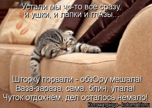 Устали мы чо-то все сразу, и ушки, и лапки и глАзы... Шторку порвали - обзОру мешала! Ваза-зараза, са... Котоматрица: Устали мы чо-то все сразу, и ушки, и лапки и глАзы... Шторку порвали - обзОру мешала! Ваза-зараза, сама, блин, упала! Чуток отдохнём, дел осталось