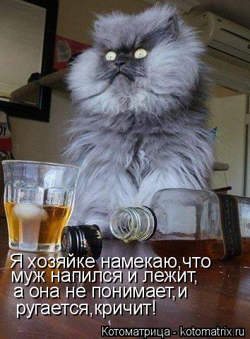 Я хозяйке намекаю,что муж напился и лежит, а она не понимает,и ругается,кричит!... Котоматрица: Я хозяйке намекаю,что муж напился и лежит, а она не понимает,и ругается,кричит!