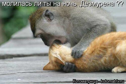 Котоматрица: молилась ли ты на ночь ,Дезмурена ??