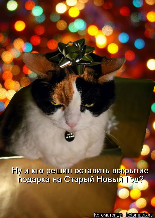 Ну и кто решил оставить вскрытие подарка на Старый Новый Год?... Котоматрица: Ну и кто решил оставить вскрытие подарка на Старый Новый Год?