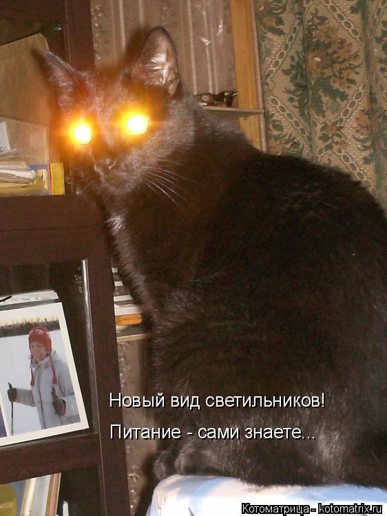 Новый вид светильников! Питание - сами знаете...... Котоматрица: Новый вид светильников! Питание - сами знаете...