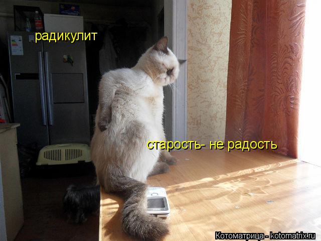радикулит старость- не радость... Котоматрица: радикулит старость- не радость