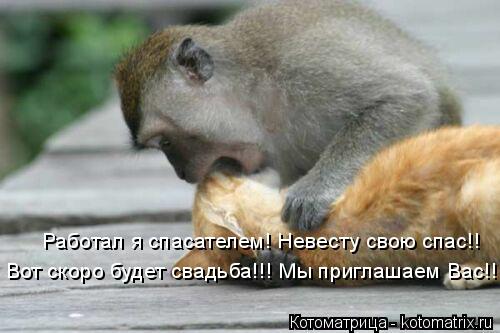 Работал я спасателем! Невесту свою спас!! Вот скоро будет свадьба!!! Мы приглашаем Вас!!!!... Котоматрица: Работал я спасателем! Невесту свою спас!! Вот скоро будет свадьба!!! Мы приглашаем Вас!!!!