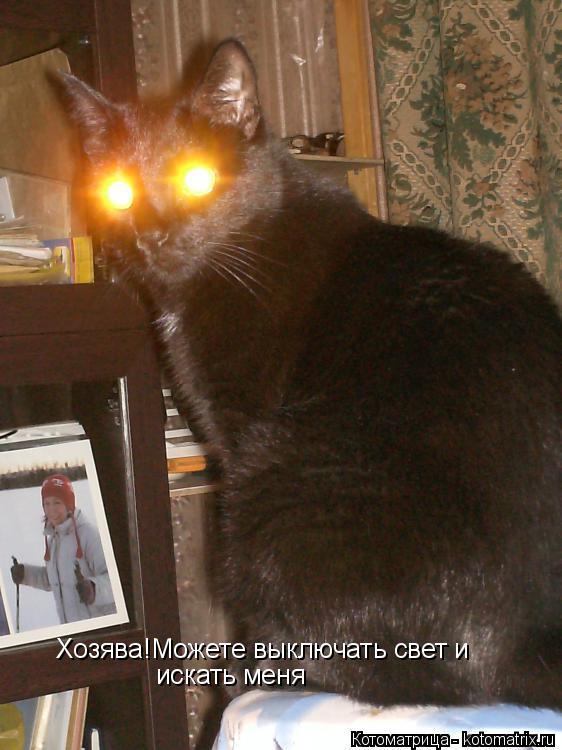 Хозява!Можете выключать свет и искать меня... Котоматрица: Хозява!Можете выключать свет и искать меня