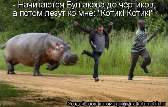 - Начитаются Булгакова до чёртиков, а потом лезут ко мне: "Котик! Котик!"... Котоматрица: - Начитаются Булгакова до чёртиков, а потом лезут ко мне: "Котик! Котик!"