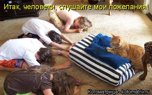 Котоматрица: Итак, человеки, слушайте мои пожелания!