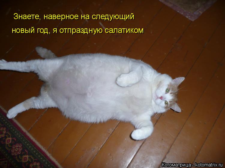 Котоматрица: Знаете, наверное на следующий  новый год, я отпраздную салатиком