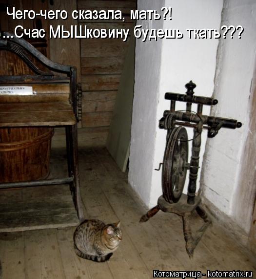 Котоматрица: Чего-чего сказала, мать?! ...Счас МЫШковину будешь ткать???