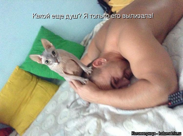 Какой еще душ? Я только его вылизала!... Котоматрица: Какой еще душ? Я только его вылизала!
