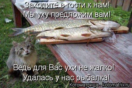 Удалась у нас рыбалка! Заходите в гости к нам! Мы уху предложим вам! Ведь для Вас ухи не жалко!... Котоматрица: Удалась у нас рыбалка! Заходите в гости к нам! Мы уху предложим вам! Ведь для Вас ухи не жалко!