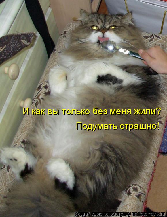 И как вы только без меня жили? Подумать страшно!... Котоматрица: И как вы только без меня жили? Подумать страшно!