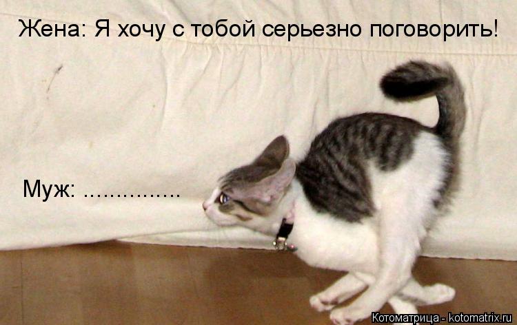 Котоматрица: Жена: Я хочу с тобой серьезно поговорить! Муж: ...............