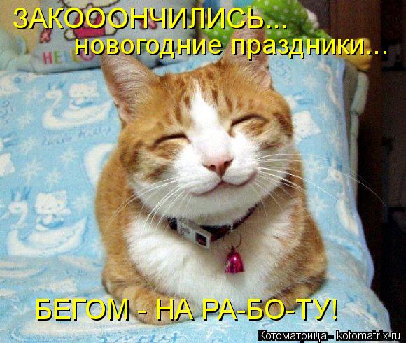 ЗАКОООНЧИЛИСЬ... новогодние праздники... БЕГОМ - НА РА-БО-ТУ!... Котоматрица: ЗАКОООНЧИЛИСЬ... новогодние праздники... БЕГОМ - НА РА-БО-ТУ!