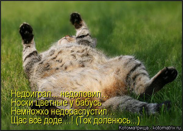 Котоматрица: Недоиграл... недоловил… Носки цветные у бабусь Немножко недораспустил… Щас всё доде....! (Ток доленюсь...)