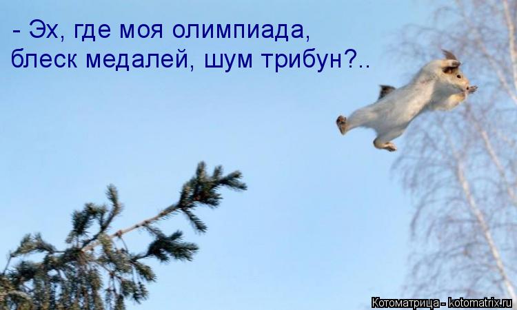 Котоматрица: - Эх, где моя олимпиада, блеск медалей, шум трибун?..