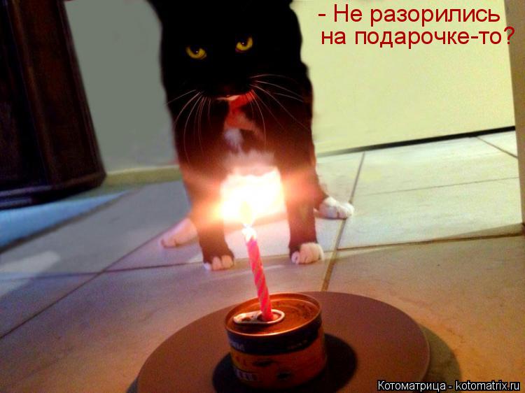 - Не разорились на подарочке-то?... Котоматрица: - Не разорились на подарочке-то?