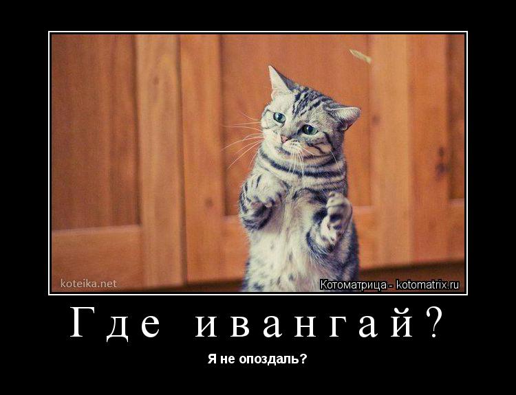 Где ивангай? Я не опоздаль?... Котоматрица: Где ивангай? Я не опоздаль?