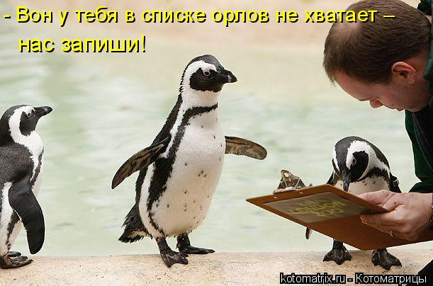 Котоматрица: - Вон у тебя в списке орлов не хватает – нас запиши!