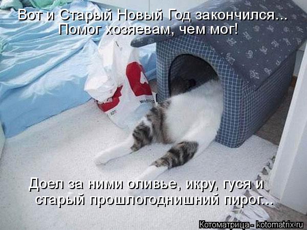 Котоматрица: Вот и Старый Новый Год закончился... Помог хозяевам, чем мог! Доел за ними оливье, икру, гуся и  старый прошлогоднишний пирог...