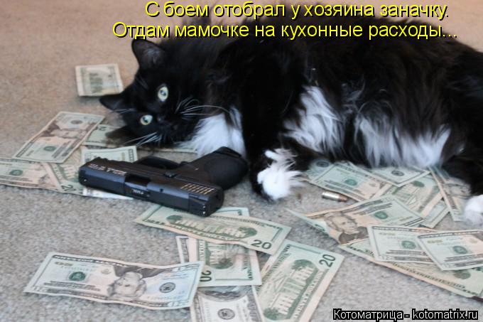 С боем отобрал у хозяина заначку. Отдам мамочке на кухонные расходы...... Котоматрица: С боем отобрал у хозяина заначку. Отдам мамочке на кухонные расходы...