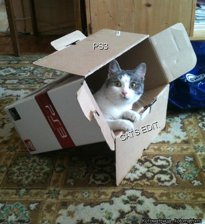 Котоматрица: PS3 CATS EDIT.