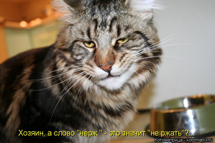 Котоматрица: Хозяин, а слово "нерж." - это значит "не ржать"?...