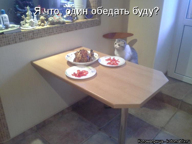 Я что, один обедать буду?... Котоматрица: Я что, один обедать буду?