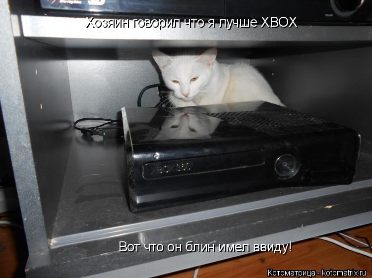 Котоматрица: Хозяин говорил что я лучше XBOX Вот что он блин имел ввиду!