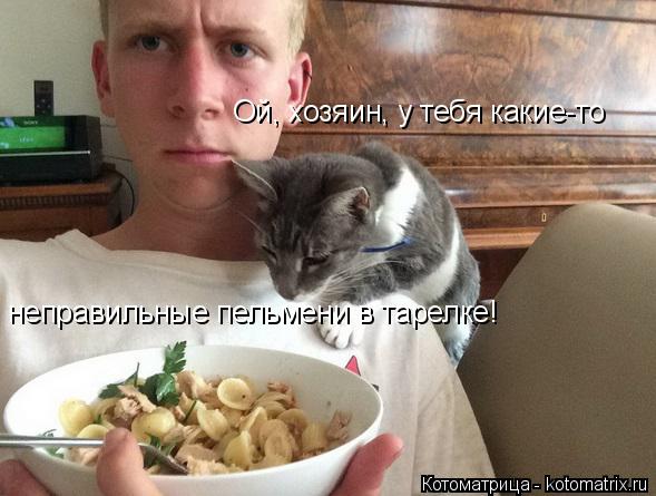 Ой, хозяин, у тебя какие-то неправильные пельмени в тарелке!... Котоматрица: Ой, хозяин, у тебя какие-то неправильные пельмени в тарелке!