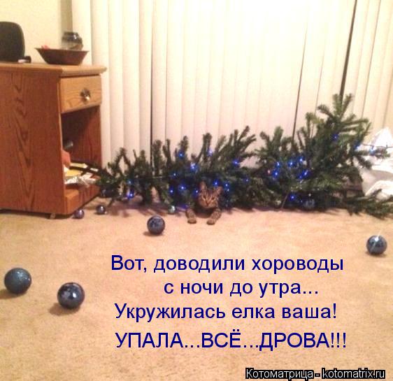 Вот, доводили хороводы с ночи до утра... Укружилась елка ваша! УПАЛА...ВСЁ...ДРОВА!!!... Котоматрица: Вот, доводили хороводы с ночи до утра... Укружилась елка ваша! УПАЛА...ВСЁ...ДРОВА!!!