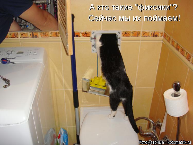 Котоматрица: А кто такие "фиксики"? Сейчас мы их поймаем!