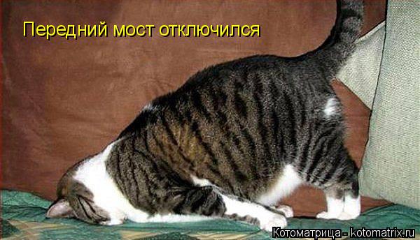 Котоматрица: Передний мост отключился