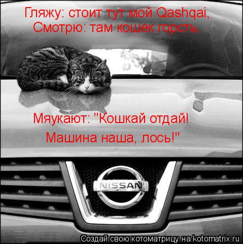 Гляжу: стоит тут мой Qashqai, Смотрю: там кошек горсть. Мяукают: "Кошкай отдай! Машина наша, лось!"... Котоматрица: Гляжу: стоит тут мой Qashqai, Смотрю: там кошек горсть. Мяукают: "Кошкай отдай! Машина наша, лось!"
