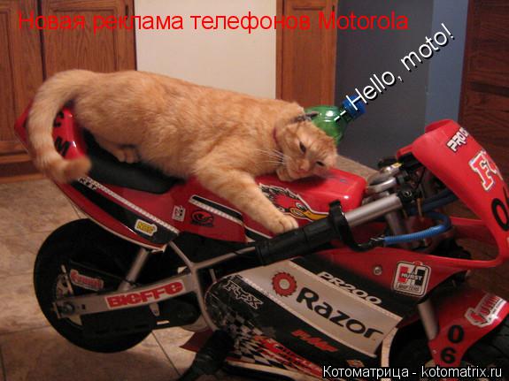 -- Hello, moto! Новая реклама телефонов Motorola... Котоматрица: -- Hello, moto! Новая реклама телефонов Motorola
