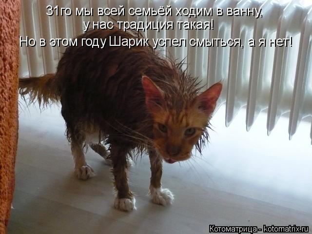 31го мы всей семьёй ходим в ванну, у нас традиция такая! Но в этом году Шарик успел смыться, а я нет... Котоматрица: 31го мы всей семьёй ходим в ванну, у нас традиция такая! Но в этом году Шарик успел смыться, а я нет!