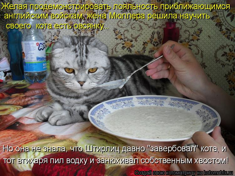 Котоматрица: Желая продемонстрировать лояльность приближающимся английским войскам, жена Мюллера решила научить своего  кота есть овсянку... Но она не 