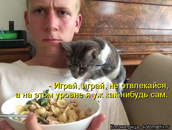 Котоматрица: - Играй, играй, не отвлекайся, а на этом уровне я уж как-нибудь сам.