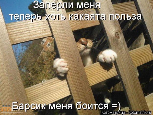 теперь хоть какаята польза Барсик меня боится =) Заперли меня... Котоматрица: теперь хоть какаята польза Барсик меня боится =) Заперли меня