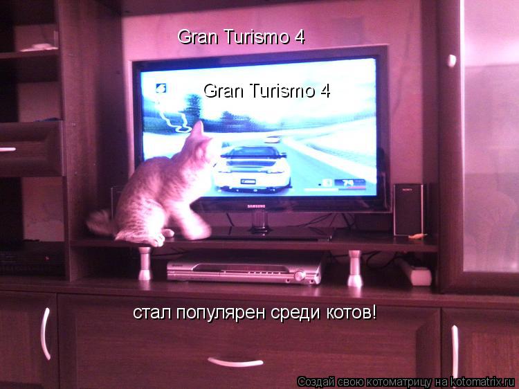 Котоматрица: Gran Turismo 4 Gran Turismo 4 стал популярен среди котов!