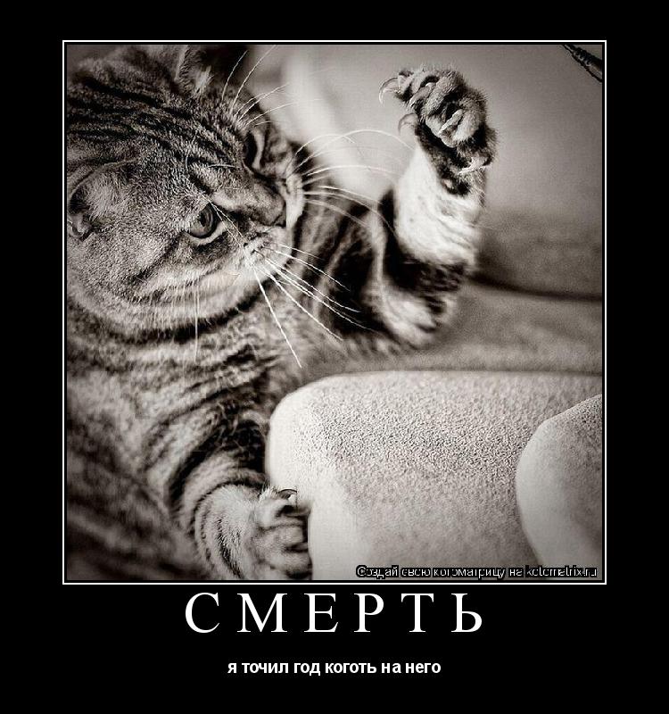 Котоматрица: СМЕРТЬ  я точил год коготь на него