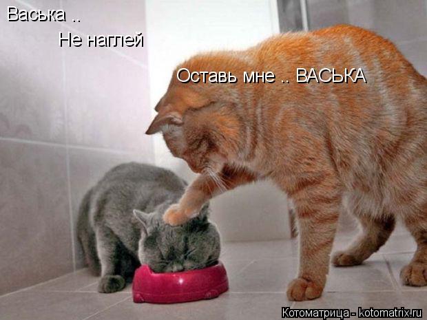 Котоматрица: Васька .. Не наглей  Оставь мне .. ВАСЬКА