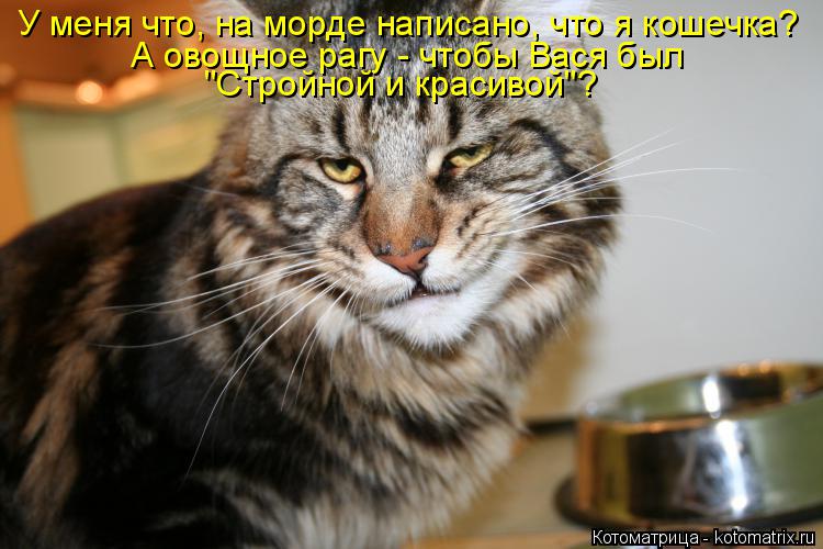 Котоматрица: У меня что, на морде написано, что я кошечка? А овощное рагу - чтобы Вася был  "Стройной и красивой"?