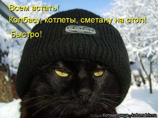 Всем встать! Колбасу, котлеты, сметану на стол! Быстро!... Котоматрица: Всем встать! Колбасу, котлеты, сметану на стол! Быстро!