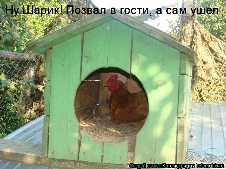 Ну Шарик! Позвал в гости, а сам ушел... Котоматрица: Ну Шарик! Позвал в гости, а сам ушел