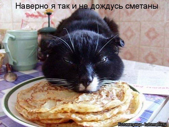 Котоматрица: Наверно я так и не дождусь сметаны