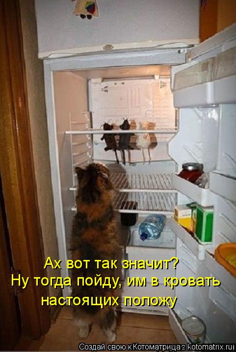 Ах вот так значит? Ну тогда пойду, им в кровать настоящих положу... Котоматрица: Ах вот так значит? Ну тогда пойду, им в кровать настоящих положу