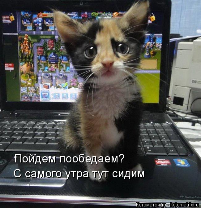 Котоматрица: Пойдем пообедаем? С самого утра тут сидим