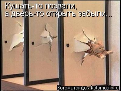 Кушать-то позвали, а дверь-то открыть забыли...... Котоматрица: Кушать-то позвали, а дверь-то открыть забыли...